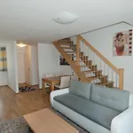 City Hotel Stockerau 4* 스톡케로