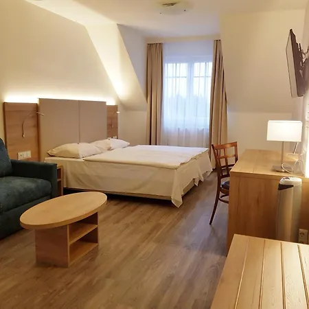 City Hotel Stockerau 4* 스톡케로